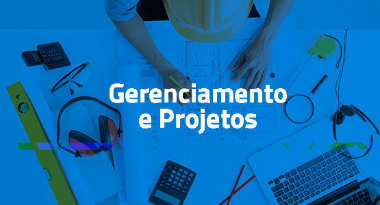 gerenciamento de projetos